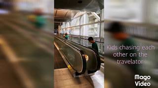Houston Intercontinental Airport (IAH) - Walking Through International Arrivals and Connecting