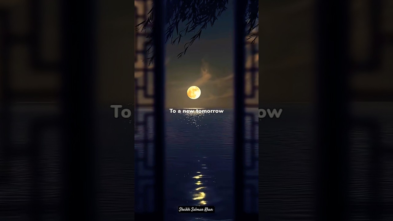 Set Me Free 😍✨ Official SONG || Sheikh Salman Khan || SSK 😍💯🔥✨