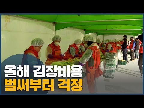 올해 <strong>김장비용</strong> 벌써부터 걱정