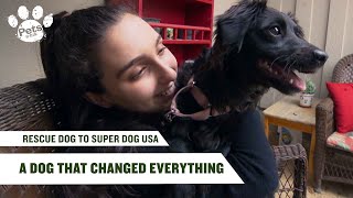 Can This Dog Become a Hero | Rescue Dog To Superdog USA | Pets Up Close