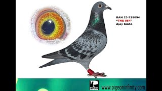 Full BAN 23-729054 News