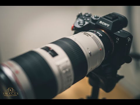 Sony a7riii - EYE - AF with Native & Canon lenses via metabones adaptor