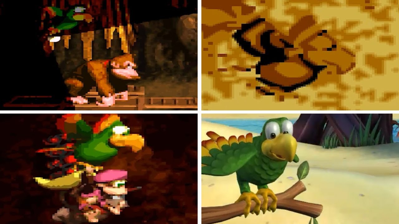 Squawks, o Papagaio, Wiki Donkey kong