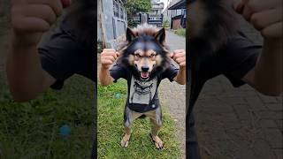 Mama kaget karena bocil jadi serigala