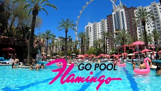 flamingo pool las vegas