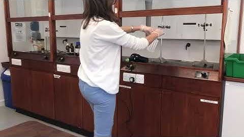 Yr 13 Amino acids chromatography (2)