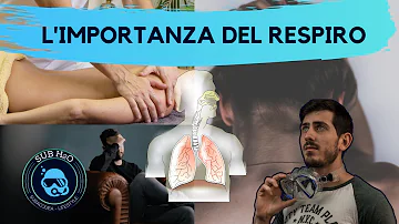 Quanti sub muoiono all'anno?