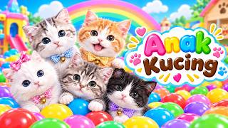 ANAK KUCING MEONG MEONG | Lagu Anak Anak | Lagu Anak Indonesia Populer Si Meong Kucing Lucu