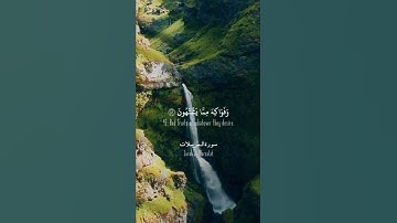 إِنَّ الْمُتَّقِينَ فِي ظِلَالٍ وَعُيُونٍ || سورة المرسلات || محمد المنشاوي