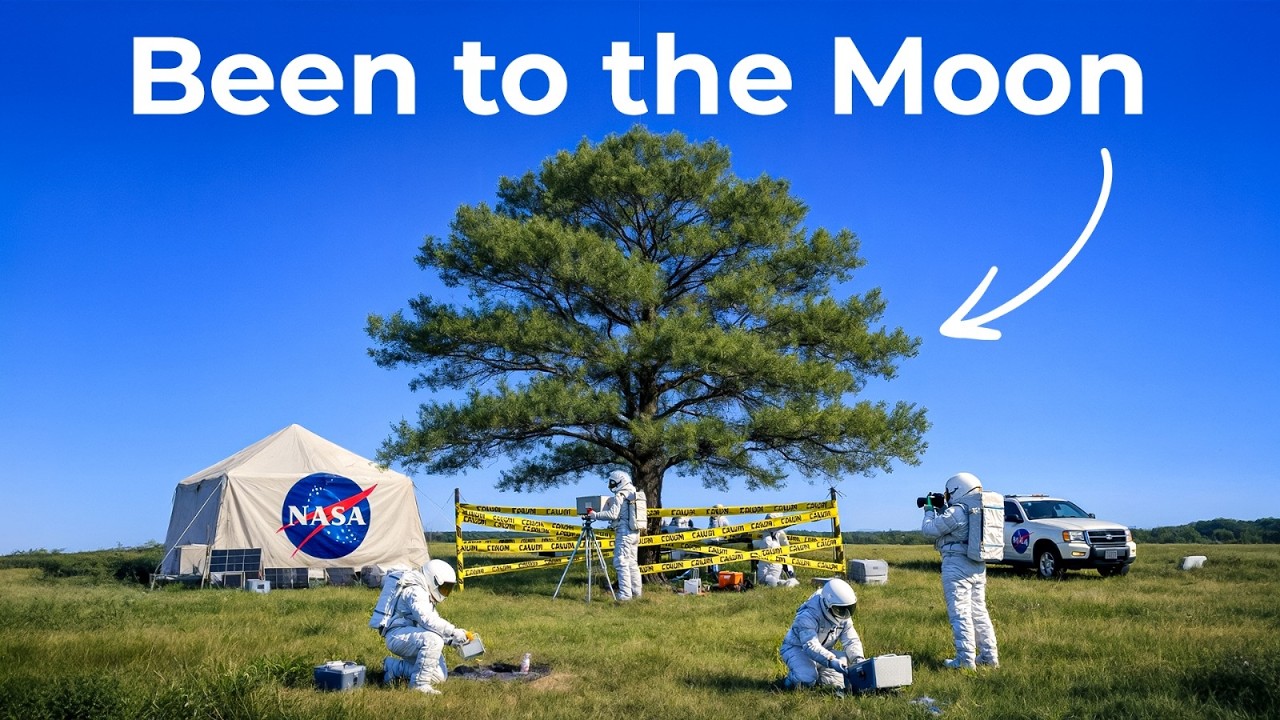 The Hunt for America's Missing Moon Trees