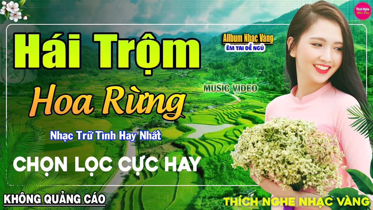 Hái Trộm Hoa Rừng ➤ LK Nhạc Vàng Xưa Hay Nhất Nhẹ Nhàng Sâu Lắng, Nghe Thử Một Lần Bạn Sẽ Nghiện