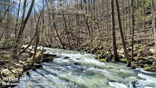 BEAR CAMP TOUR Stream On