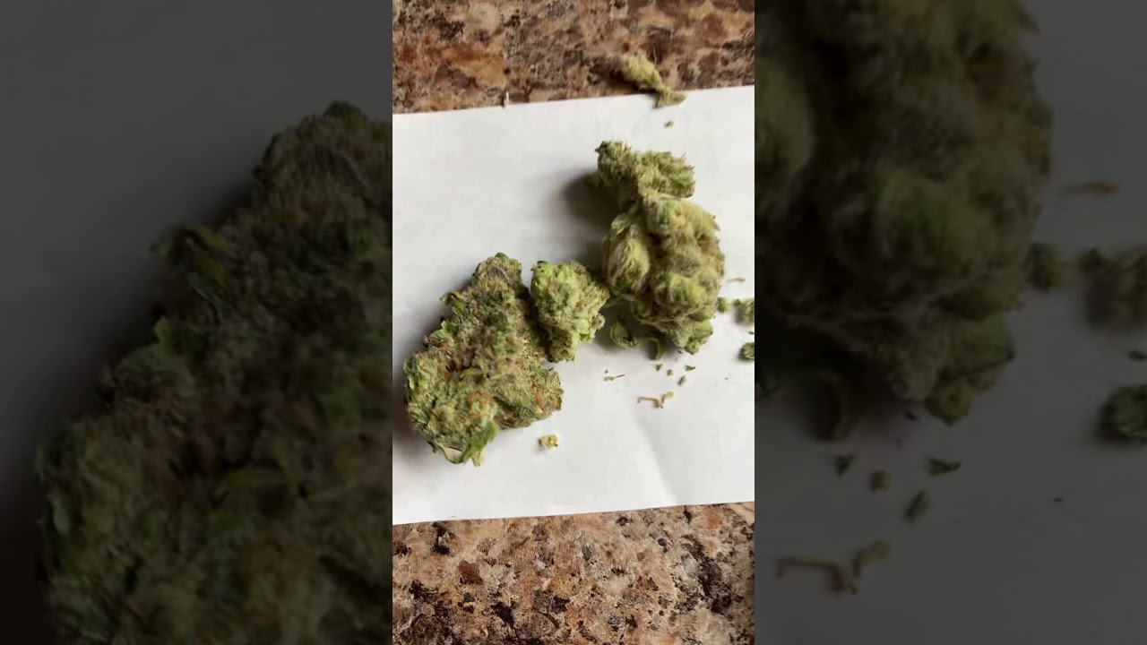 “LB Tally Mon” Flower