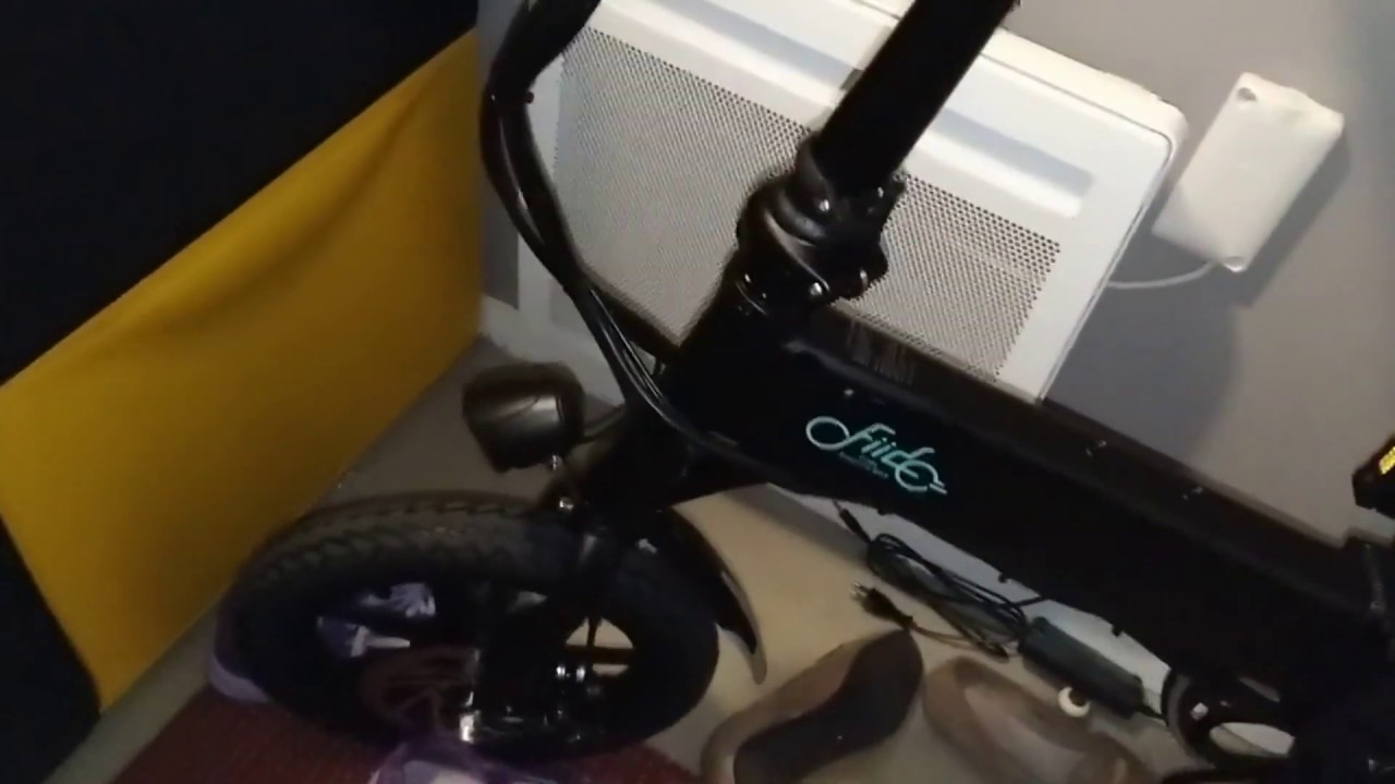 fiido d1 electric bike
