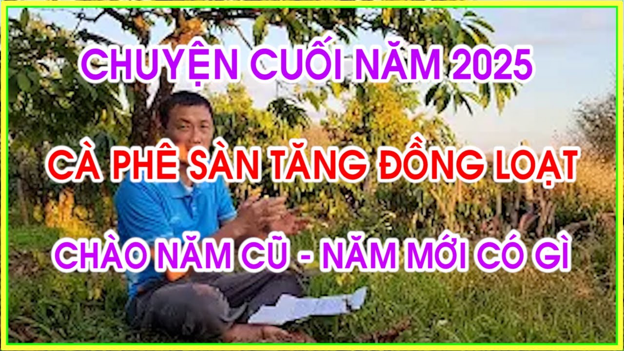 Цены на кофе растут повсеместно. Итоги года: оглядываясь на прошедший год, что принесет новый?