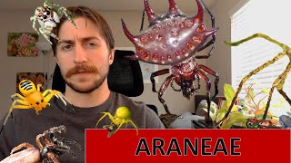 Araneae: The Spiders  Order Spotlight