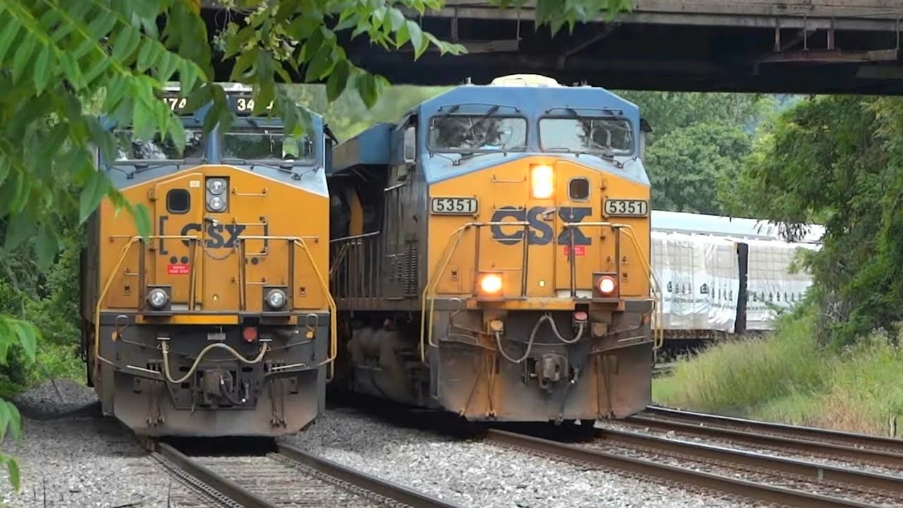 🚄 2 More Hours of Random Train Videos 🚄🐶🦊