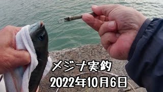 Miyazaki Port on October 6, 2022 - YouTube