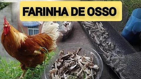 Como fazer farinha de osso de frango?