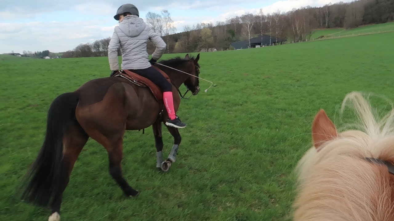 Im Wald springen?! | Paola, Smarty & Inka ️ | Marina und die Ponys
