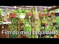 Vou acabar com o meu orquidário...