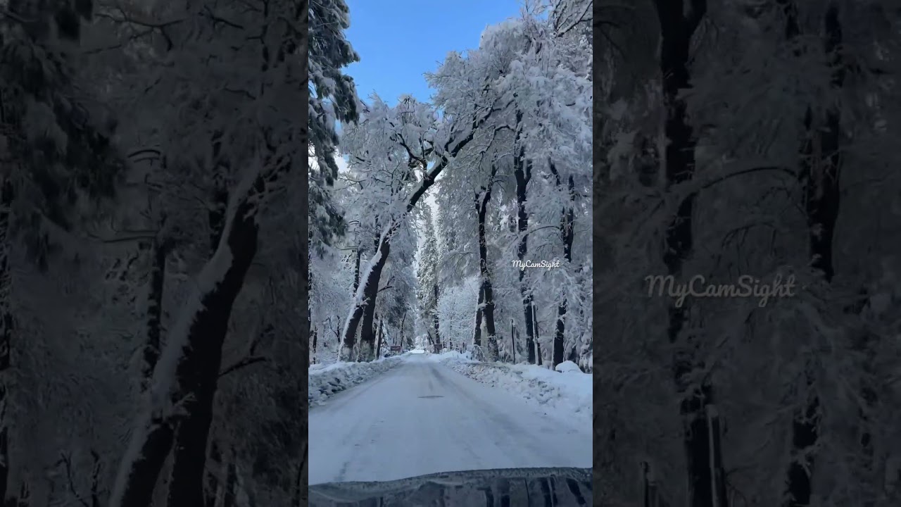 Yosemite National Park – Winter 2022 Yosemite National Park – Winter 2022