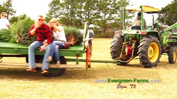 Evergreen Christmas 30s Video