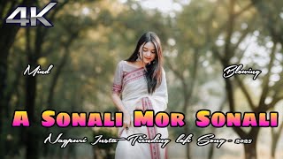 A Sonali Mor Sonali Nagpuri Song - 2025 Insta Trending lofi Slow Song