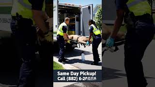 Dead Deer Removal Livingston NJ — Same Day Service