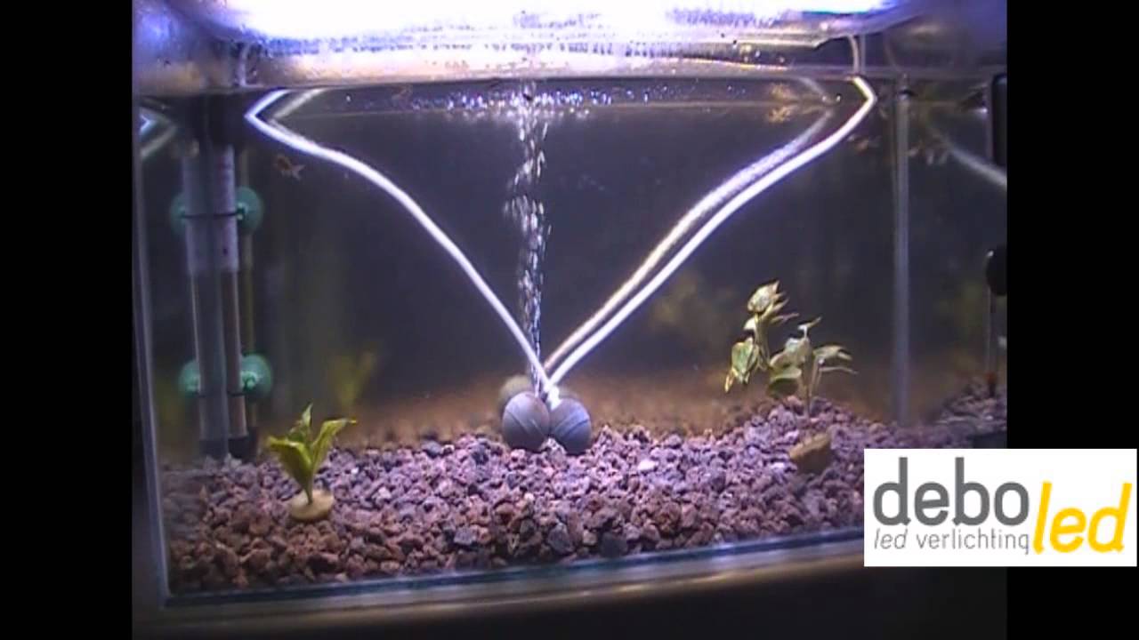 Aquarium led verlichting youtube