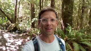 What do fern flowers look like? Exploring in the Pacific Northwest.