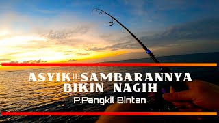 BERAKSI Setelah Jam 5 Subuh ||Mancing Ikan SELAR/COMO Di Kelong Apung ||Mancing Tanjungpinang Bintan