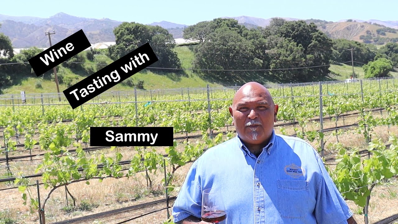 Wine Tasting With Sammy And Monterey Guided Wine Tours Youtube 