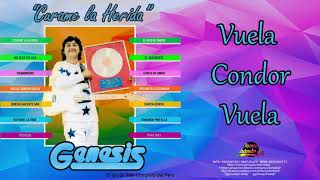 Video thumbnail of "VUELA CONDOR VUELA - GRUPO GENESIS"