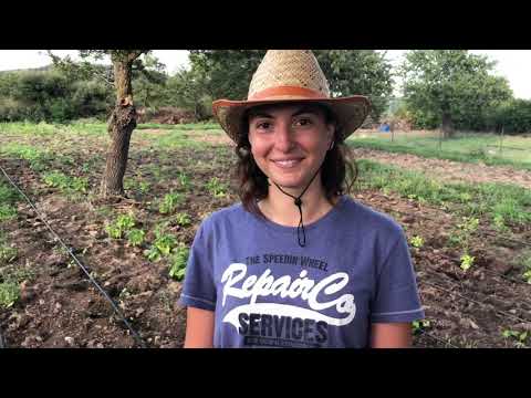 Video: Organik bir çiftçi ne kadar kazanabilir?