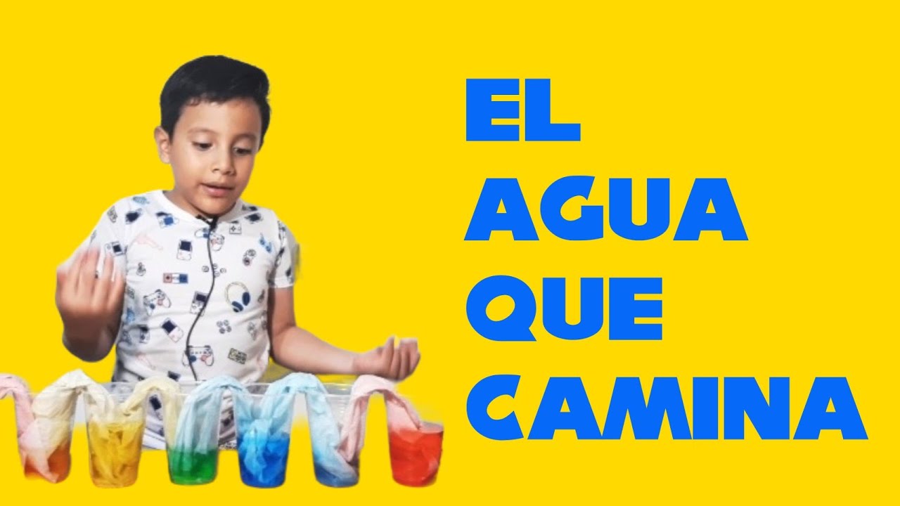 Experimento del agua que camina paso a paso para niños de primaria