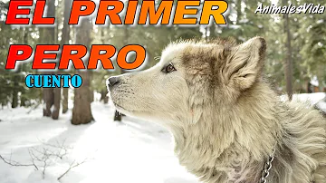 ¿Cómo se llamaba el primer perro de la historia?