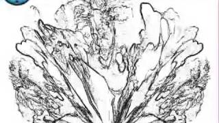 Psychedelic Web Cam Show