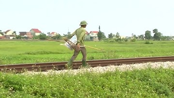 Thịt chuột quê lúa Yên Thành, Nghệ An