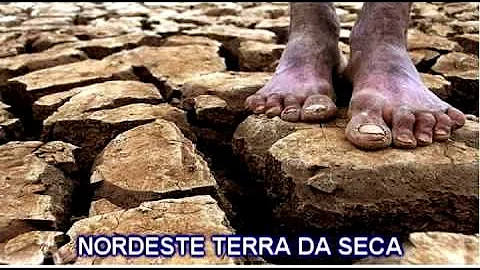 Qual música representa o nordeste?