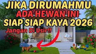 7 Hewan Pembawa Rezeki yang Datang ke Rumah Anda, Jangan Di Usir,Ternyata Ini Isyarat dari Alloh
