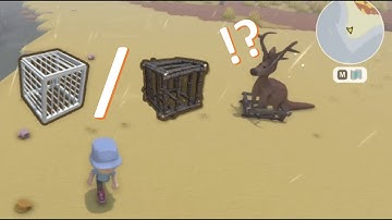 Dinkum for Dummies: Complete Trapping Guide