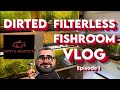 Dirted filterless fishroom vlog episode 1