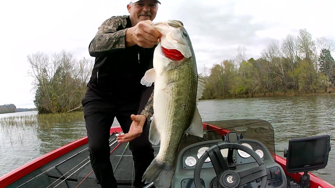 Early November 2024 Bass Fishing Old Hickory