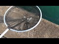 ボラ幼魚を捕まえる。春から夏にかけて、湾内やタイドプールの多くなる小魚。春先はボラとグレ(メジナ)が多いのですが、海水温度の上昇と共に様々な魚種が混じります。休日に網を持って、魚を捕まえてみませんか?