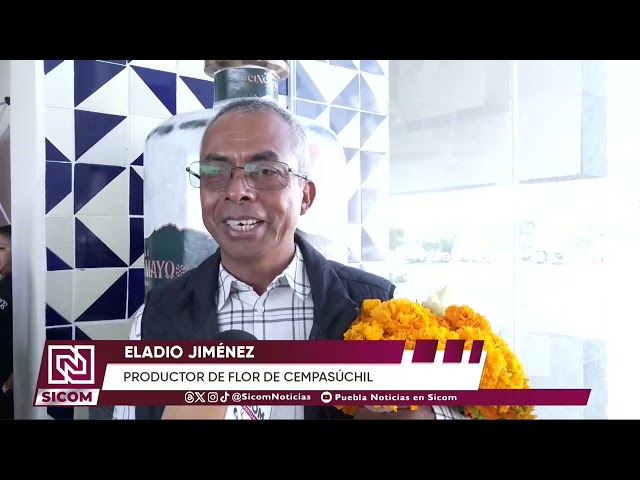 🌼 Atlixco se pinta de naranja y amarillo con la llegada del cempasúchil | SICOM Noticias
