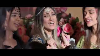 Bobby Deol Entry Song Official Video Animal   Jamal Jamaloo Jamal Kudu   Abrar Wedding Song Animal