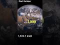 What If Earth Suddenly Stopped Spinning? 🌍