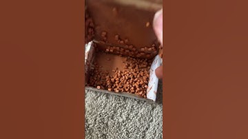 I’m making a new stable for my Schleich horses!! Maybe a tutorial!! #horse #cute #shorts #fyp