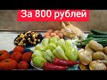 МОИ ПОКУПКИ ,ЧТО МОЖНО КУПИТЬ  вТБИЛИСИ за 800 РУБЛЕЙ